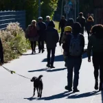 Românii investesc masiv în titlurile de stat: peste 22.000 de persoane au plasat aproape 2 miliarde de lei într-o lună