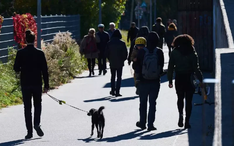 Românii investesc masiv în titlurile de stat: peste 22.000 de persoane au plasat aproape 2 miliarde de lei într-o lună