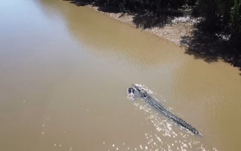 O alegere neobișnuită pentru Jocurile Olimpice din 2032. Canotorii vor concura pe un râu cunoscut pentru crocodili