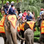 Atracții spectaculoase care ascund o realitate dură. Ce experiențe ar fi bine să eviți în vacanțele exotice